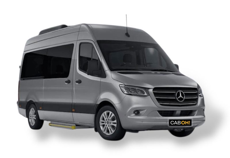 Sprinter Piel